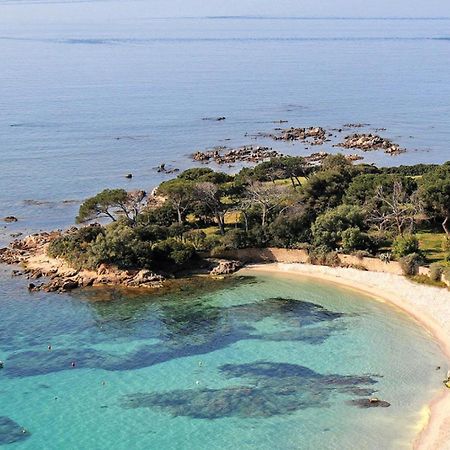 Grand Studio Rue Pietonne Ajaccio Ajaccio  Eksteriør bilde
